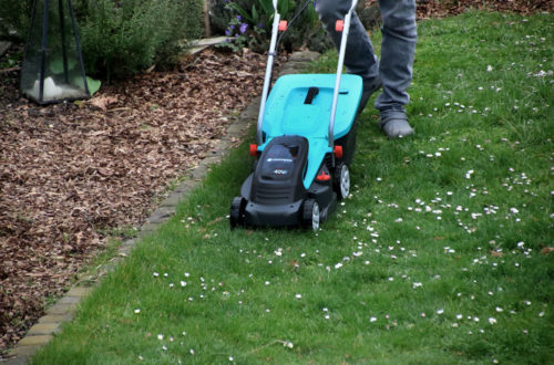 Werbung // Rasenmähen im Frühjahr - Wann fängt man an zu mähen? Garden Akku-Rasenmäher für kleine Rasenflächen