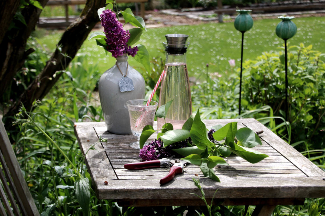 Fliederlimonade mit Zitrone und Thymian