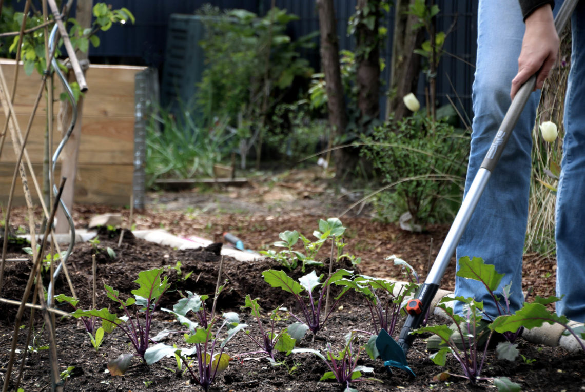 Werbung / Grubber, Gartenhacke, Kleinrechen Welche Gartengeräte benötigt man im Gemüsegarten? Gärtnern mit dem Gardena Combisystem