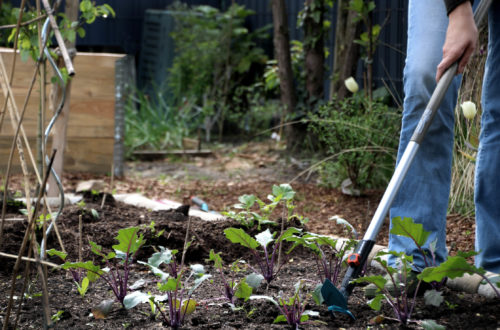 Werbung / Grubber, Gartenhacke, Kleinrechen Welche Gartengeräte benötigt man im Gemüsegarten? Gärtnern mit dem Gardena Combisystem