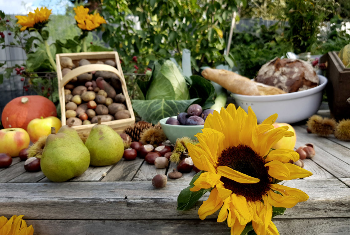 Erntedankfest im eigenen Garten mit BEGA Gartenbeleuchtung