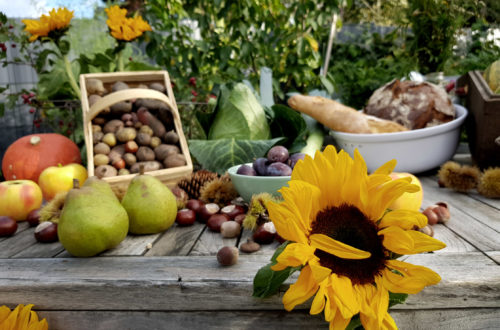 Erntedankfest im eigenen Garten mit BEGA Gartenbeleuchtung