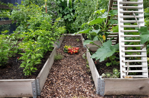 Pflanzpläne für Palettenbeete im Gemüsegarten