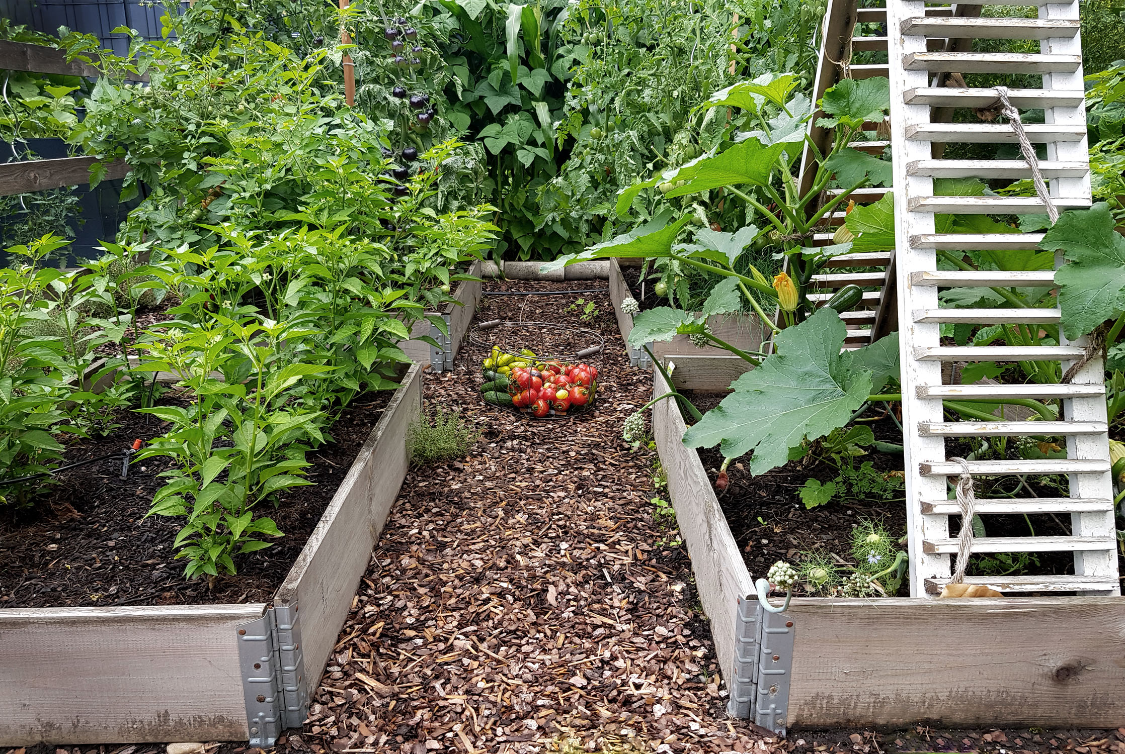 Pflanzpläne für Palettenbeete im Gemüsegarten grueneliebe by Sandra