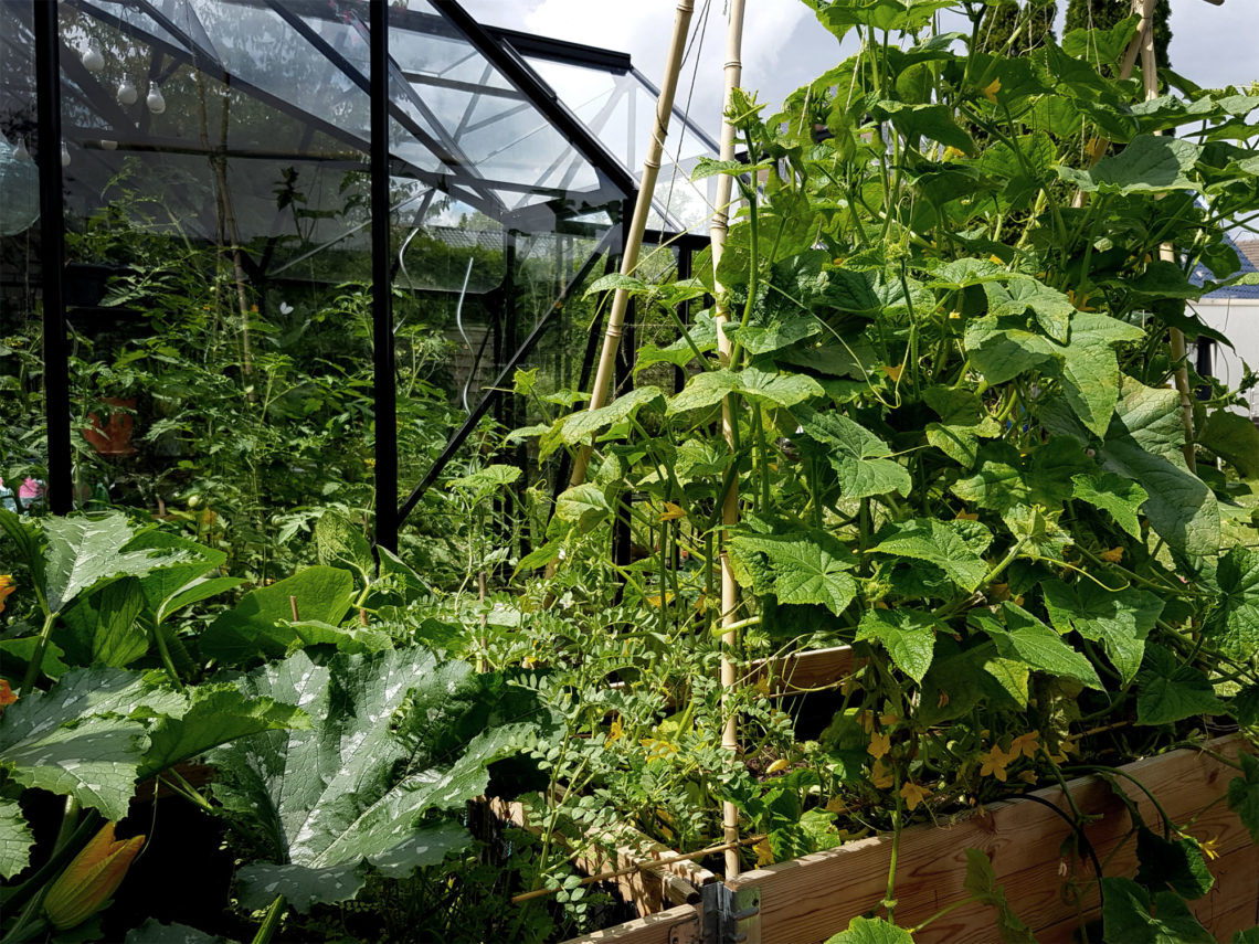 Beetplanung im Gemüsegarten