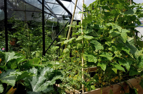 Beetplanung im Gemüsegarten