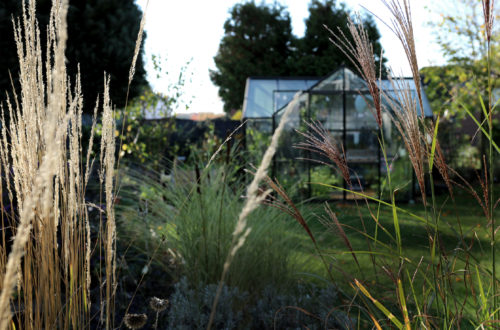 Gartenfreude Garten Grüneliebe