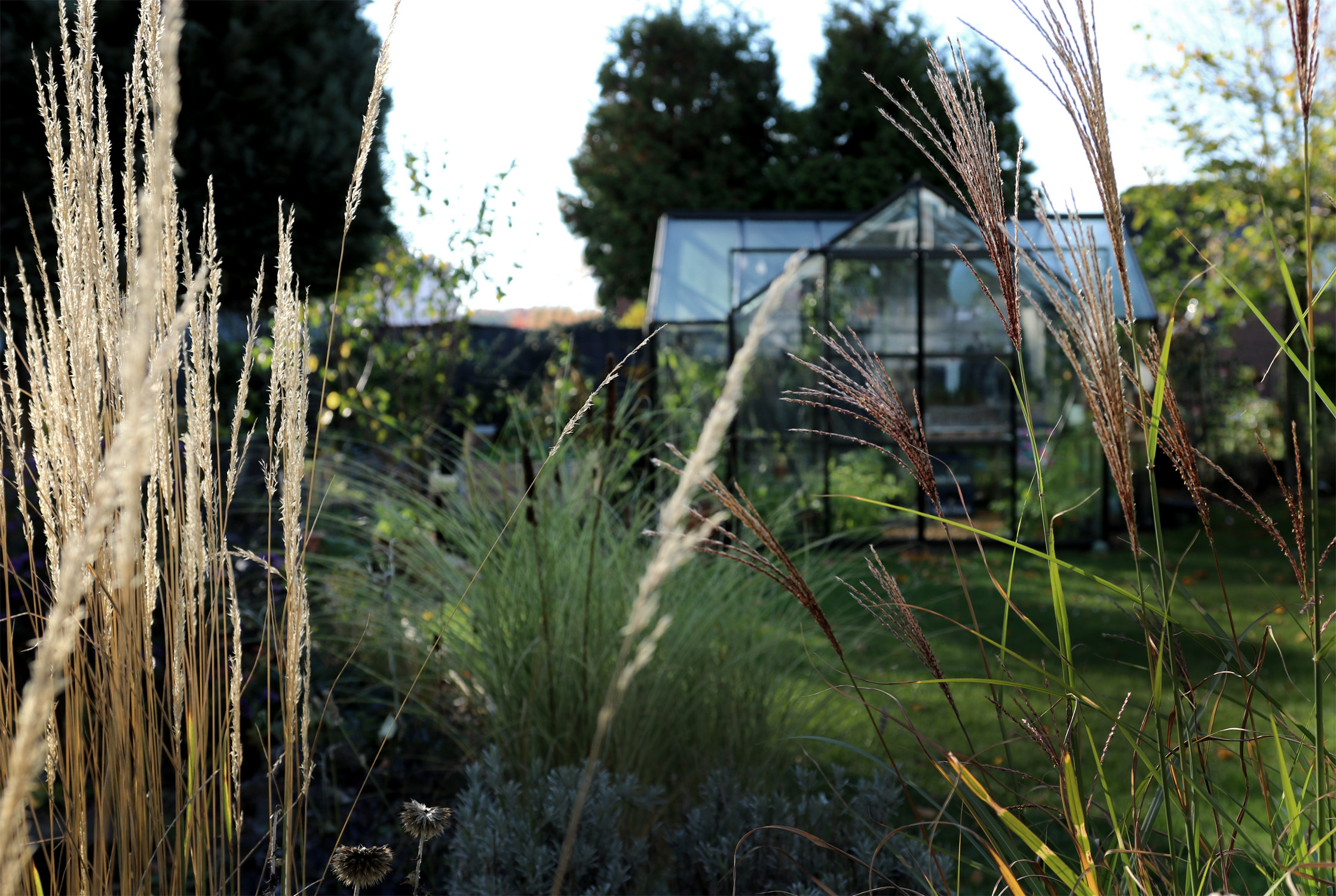 Gartenfreude Garten Grüneliebe