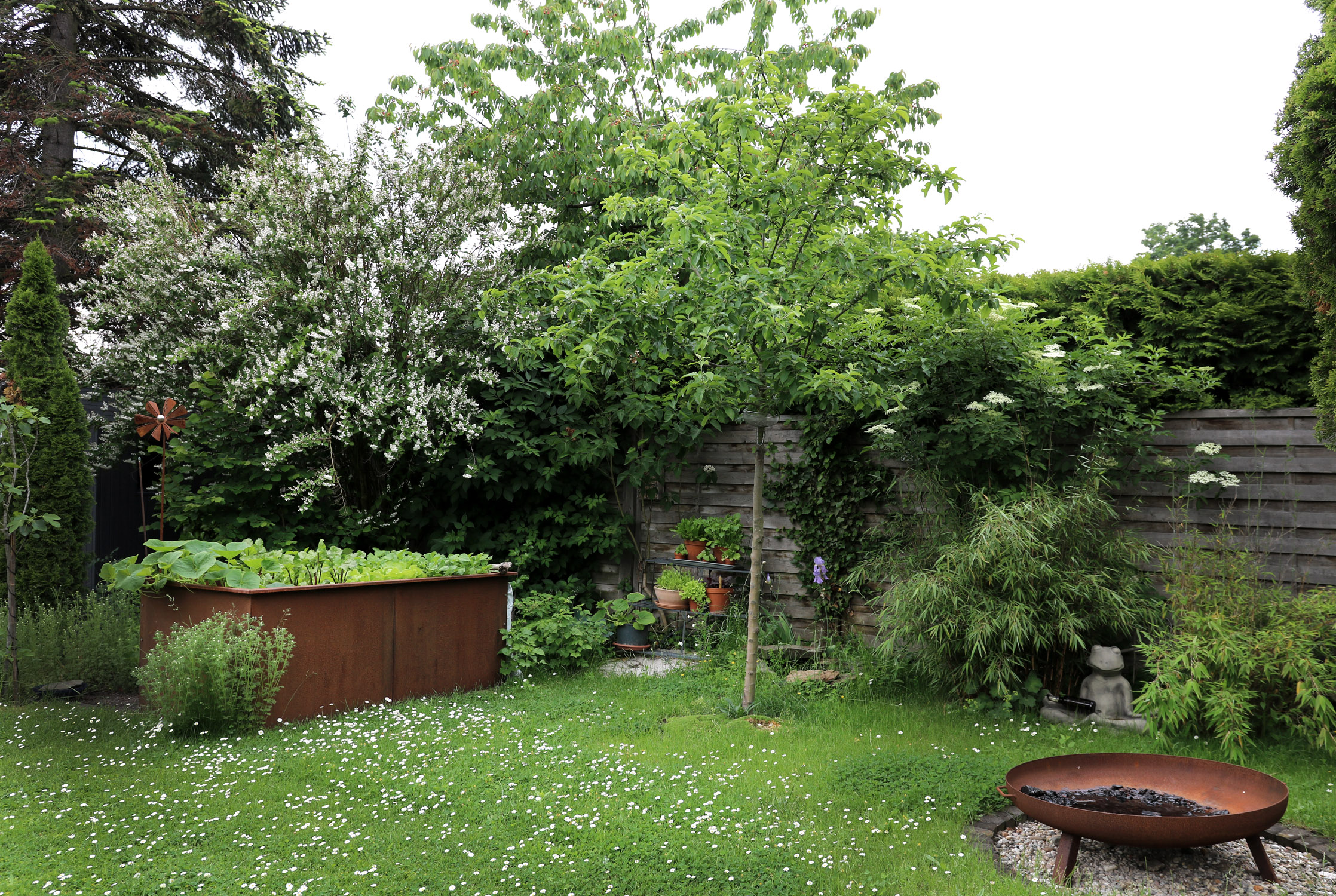 Obstbäume für kleine Gärten und Balkone