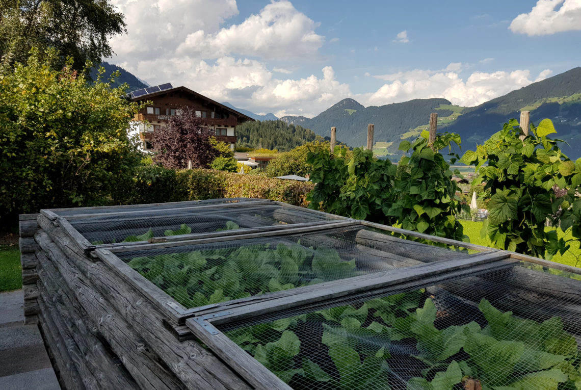 Gartenhotel Crystal Fügen Zillertal Reisebericht