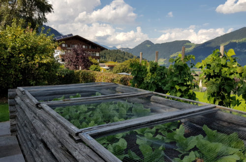 Gartenhotel Crystal Fügen Zillertal Reisebericht