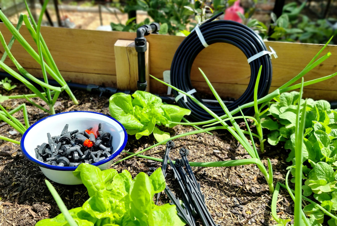 Hochbeet wassersparend bewässern mit dem Micro-Drip-System von GARDENA.