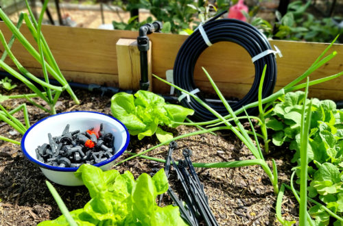 Hochbeet wassersparend bewässern mit dem Micro-Drip-System von GARDENA.