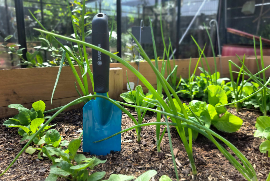 Hochbeetbewässerung automatisch und wassersparend mit dem Micro-Drip-System von GARDENA