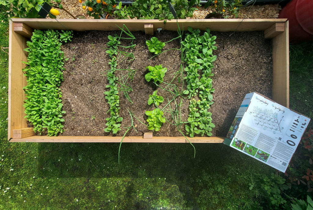 Hochbeetbewässerung automatisch und wassersparend mit dem Micro-Drip-System von GARDENA