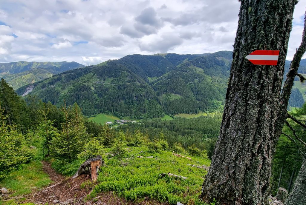 Geheimtipp Wanderung zum Eberlsee Hohentauern Steiermark