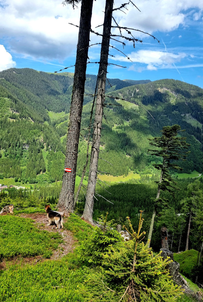 Geheimtipp Wanderung zum Eberlsee Hohentauern Steiermark