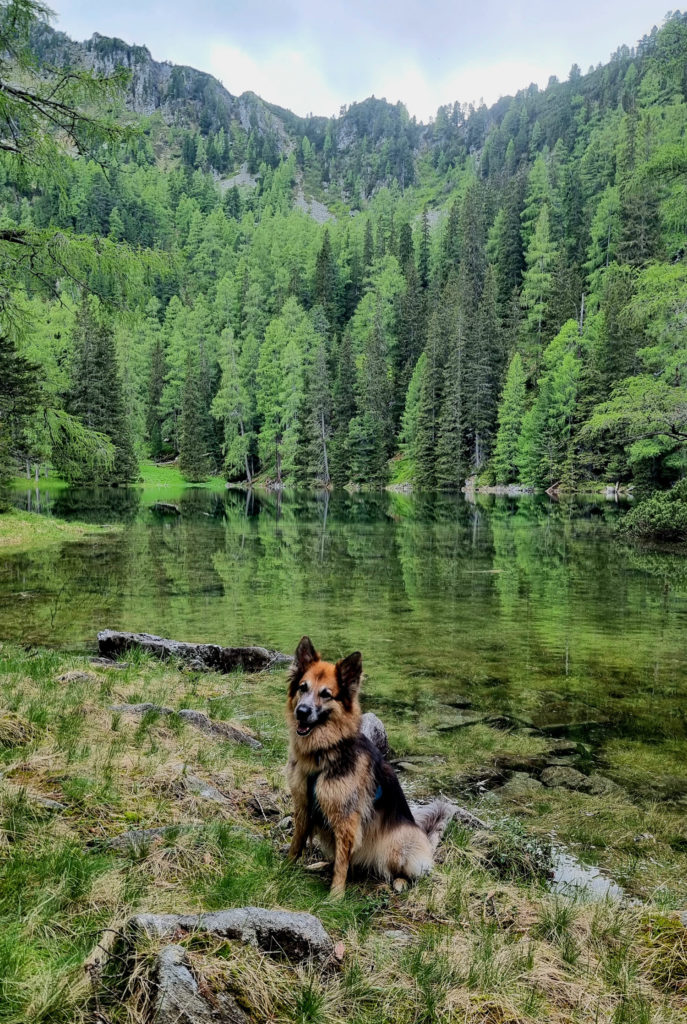 Geheimtipp Wanderung zum Eberlsee Hohentauern Steiermark