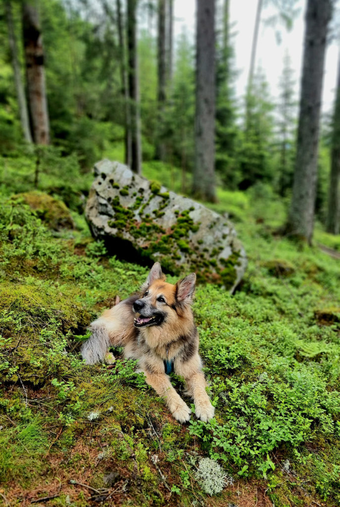 Geheimtipp Wanderung zum Eberlsee Hohentauern Steiermark