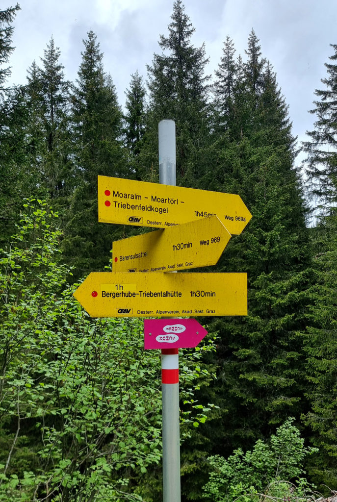 Wanderung zur Moaralm Hohentauern Steiermark