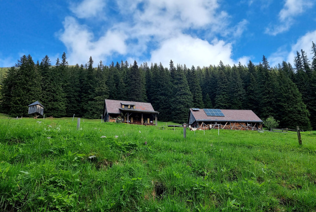 Wanderung zur Moaralm Hohentauern Steiermark