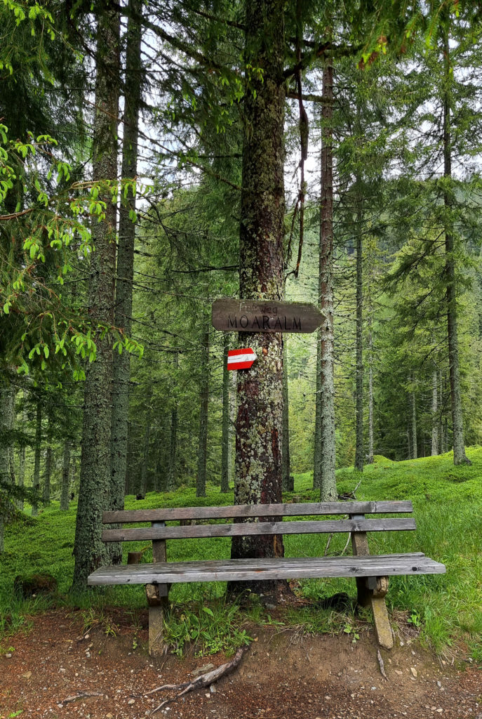 Wanderung zur Moaralm Hohentauern Steiermark