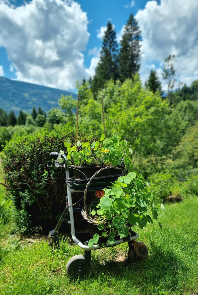 Mödlingerhütte im Gesäsue Steiermark Wanderausflug mit Hund