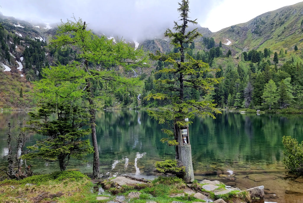 Großer Scheibelsee Steiermark Hohentauern Wanderziel mit Hund