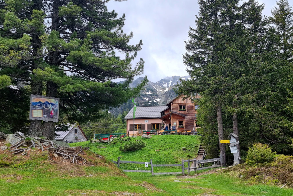 Großer Scheibelsee Steiermark Hohentauern Wanderziel mit Hund