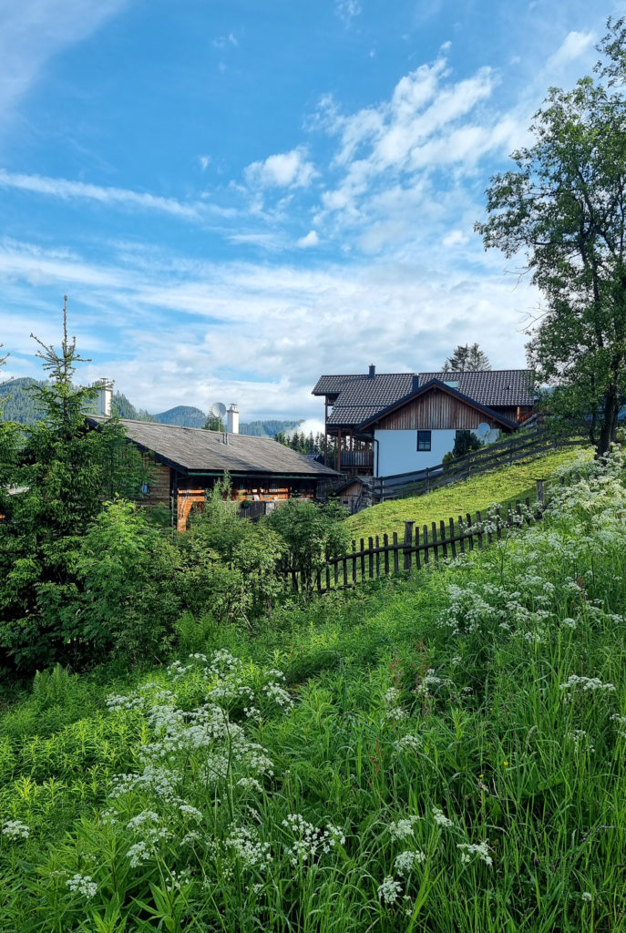 Sloho Bergurlaub mit Hund Steiermark Hohentauern