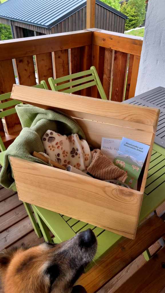 Hunde Willkommen! Hundebox im Sloho Bergurlaub